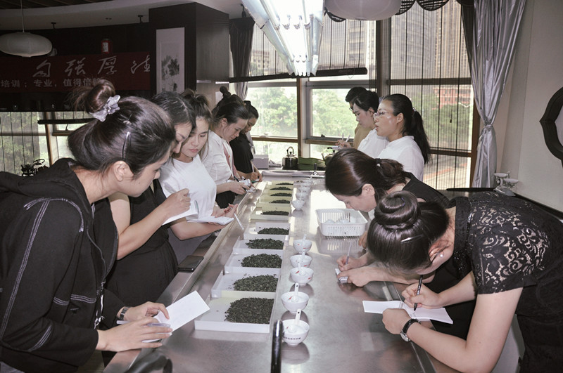厦门茶艺师培训考证在哪里考