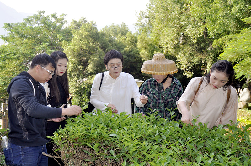 北京茶道培训 中国茶艺师培训分为两种